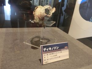 fukuiprefecturaldinosaurmuseum3138