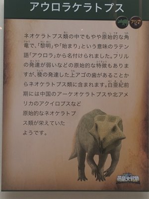 fukuiprefecturaldinosaurmuseum 13.30.47