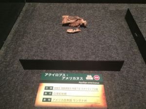 fukuiprefecturaldinosaurmuseum 13.31.23-2