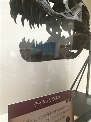 fukuiprefecturaldinosaurmuseum 13.36.15